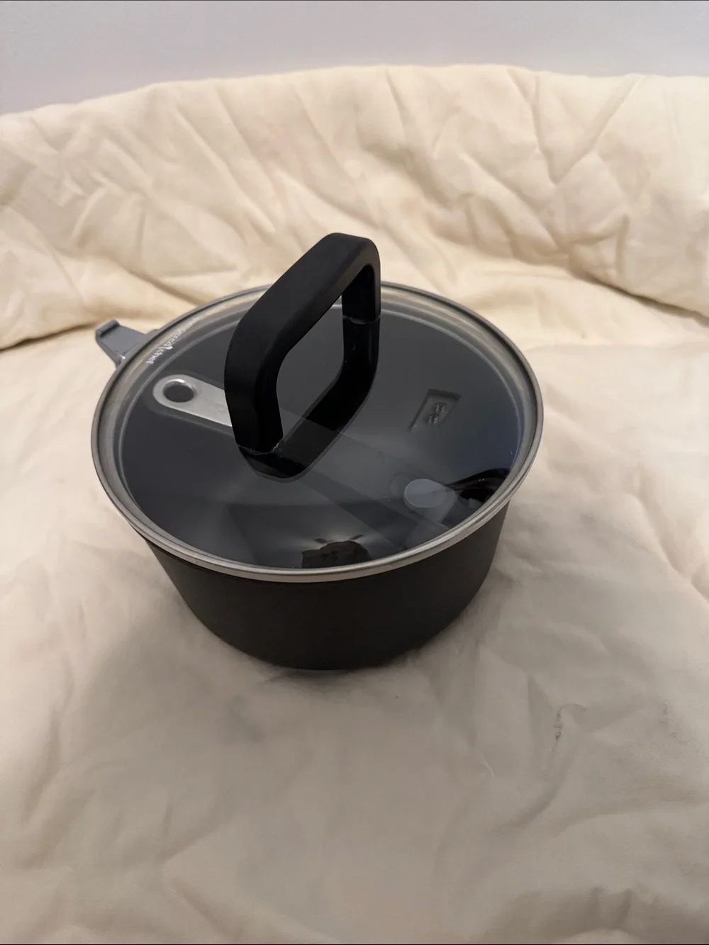 Small Black Nonstick Saucepan with Glass Lid